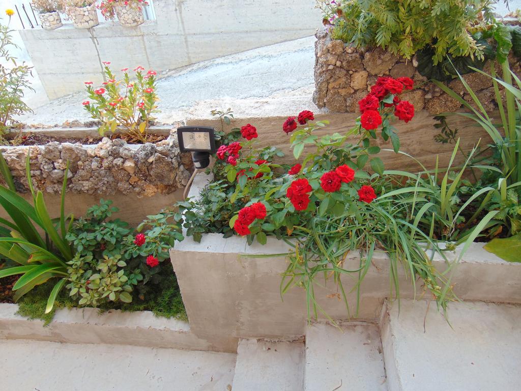 Apartment Ljubica Ljuban Makarska Kültér fotó